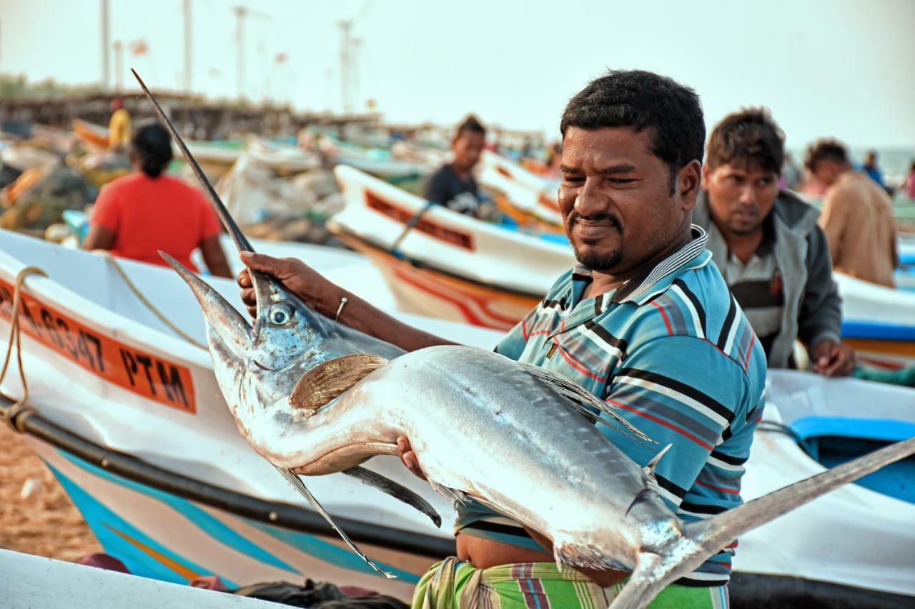 Melheim Beach Kalpitiya Bagian luar foto
