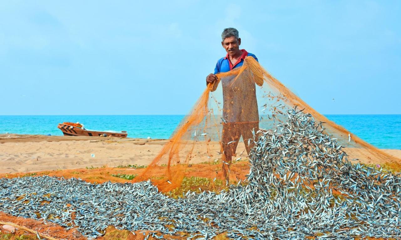 Melheim Beach Kalpitiya Bagian luar foto